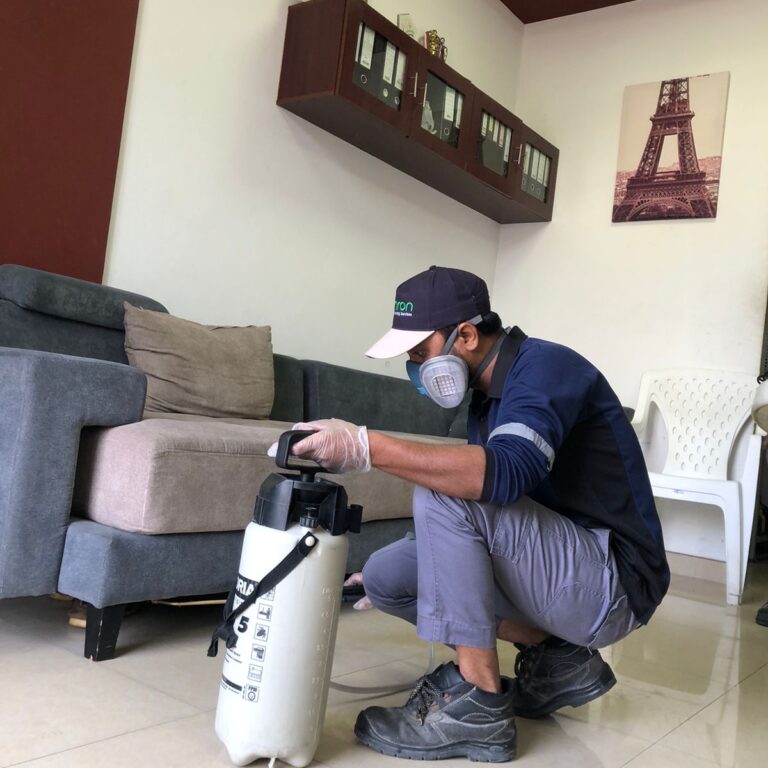 best cleaning company in Dubai cleans sofa
