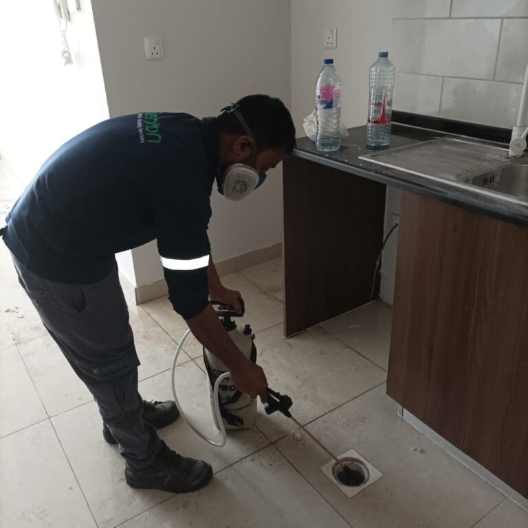 Enron cleaning company in Dubai cleans kitchen