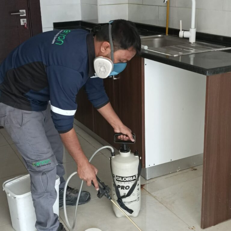 best cleaning company in UAE